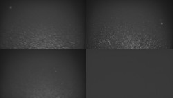 Ski areál u Sachovy studánky