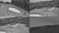 Ski areál u Sachovy studánky