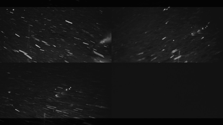 Ski areál U Sachovy studánky - Ski areál u Sachovy studánky - 25.12.2025 v 05:02