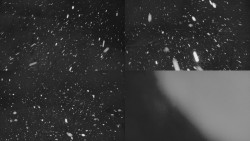 Ski areál u Sachovy studánky