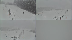 Ski areál u Sachovy studánky