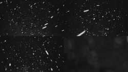 Ski areál u Sachovy studánky