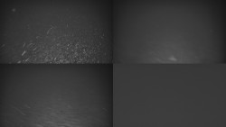 Ski areál u Sachovy studánky