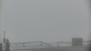 Snímek    15.5.2025 v 08:50