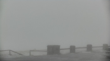 Snímek    15.5.2025 v 08:55