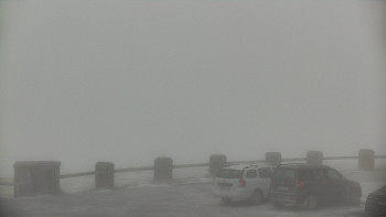 Snímek    15.5.2025 v 09:00