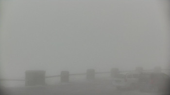 Snímek    15.5.2025 v 09:30