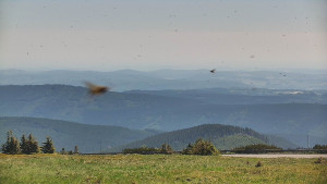 Praděd - Vysílač - Praděd - Vysílač - 15.6.2025 v 10:50