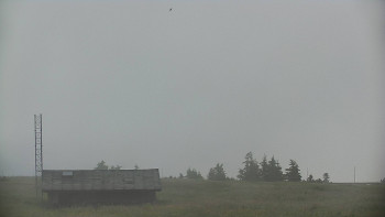 Snímek    4.7.2025 v 08:50