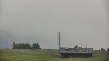 Snímek    4.7.2025 v 08:55
