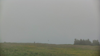 Snímek    4.7.2025 v 09:10