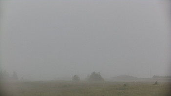Snímek    7.7.2025 v 05:45
