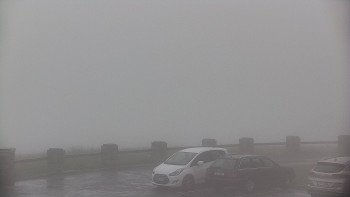 Snímek    7.7.2025 v 07:50