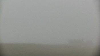Snímek    12.7.2025 v 08:25