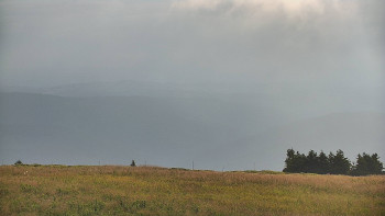 Snímek    13.7.2025 v 06:35