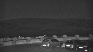 Praděd - Vysílač - Praděd - Vysílač - 15.8.2025 v 02:55