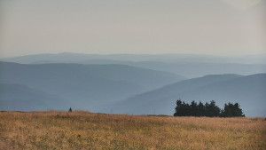 Praděd - Vysílač - Praděd - Vysílač - 15.8.2025 v 07:50
