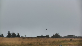 Snímek    13.9.2025 v 09:25