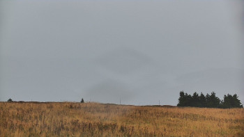 Snímek    14.9.2025 v 07:55