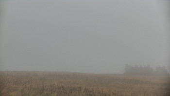 Snímek    17.9.2025 v 08:00