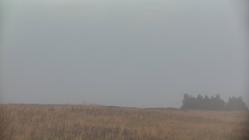Snímek    18.9.2025 v 18:30