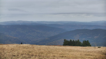 Snímek    14.10.2025 v 12:00