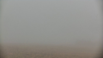Snímek    14.10.2025 v 15:20