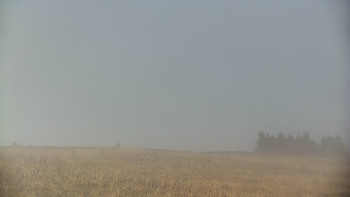 Snímek    15.10.2025 v 13:10