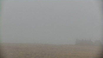 Snímek    16.10.2025 v 14:20