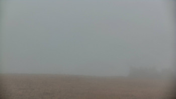 Snímek    24.10.2025 v 07:50
