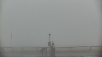 Snímek    24.10.2025 v 13:00
