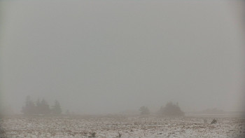 Snímek    29.10.2025 v 07:45