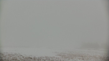 Snímek    29.10.2025 v 08:15