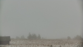 Snímek    29.10.2025 v 08:35