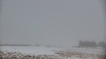 Snímek    29.10.2025 v 11:20