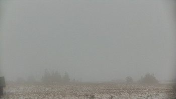 Snímek    29.10.2025 v 11:45