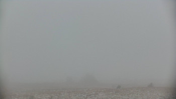 Snímek    29.10.2025 v 14:00