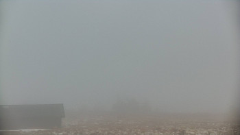 Snímek    29.10.2025 v 14:50