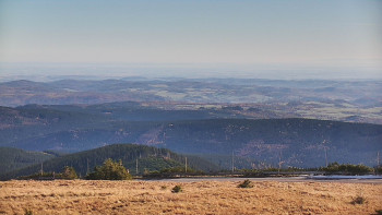 Snímek    31.10.2025 v 10:00