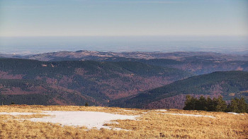 Snímek    31.10.2025 v 10:30