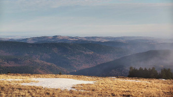 Snímek    1.11.2025 v 08:35