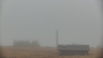 Snímek    3.11.2025 v 07:50