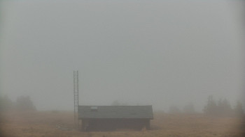 Snímek    3.11.2025 v 10:25