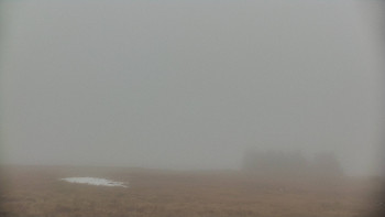 Snímek    3.11.2025 v 10:35