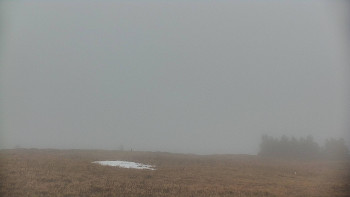 Snímek    3.11.2025 v 10:45