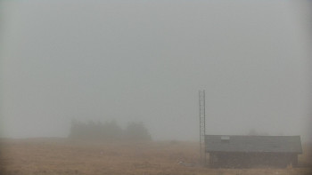 Snímek    3.11.2025 v 10:55