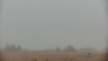 Snímek    3.11.2025 v 11:10