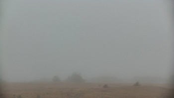 Snímek    3.11.2025 v 13:20