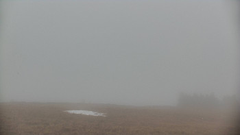 Snímek    3.11.2025 v 13:45