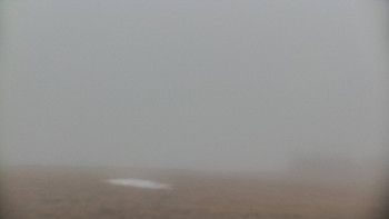 Snímek    3.11.2025 v 13:55